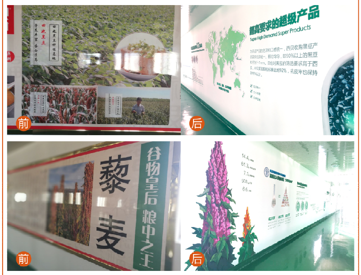 1525276888717167.png 1525276888717167.png