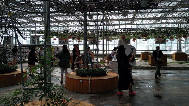 1542699679144715.jpeg 20160714213110_fdb94fc25795cce1633568ace34c9eda_1.jpeg